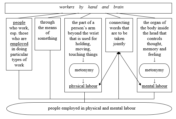 Formation of the phraseologism workers by hand and brain