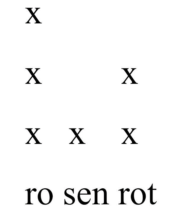 Пример метрической решетки на примере лексемы «rosenrot»