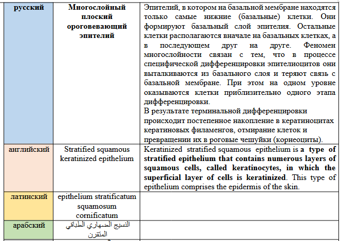 Фрагмент текстового глоссария