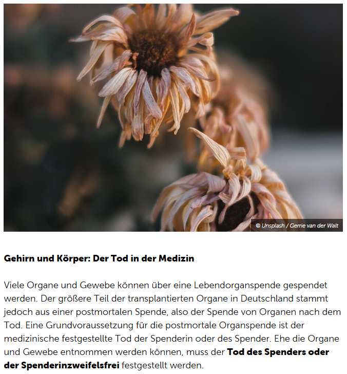  Смерть в медицине