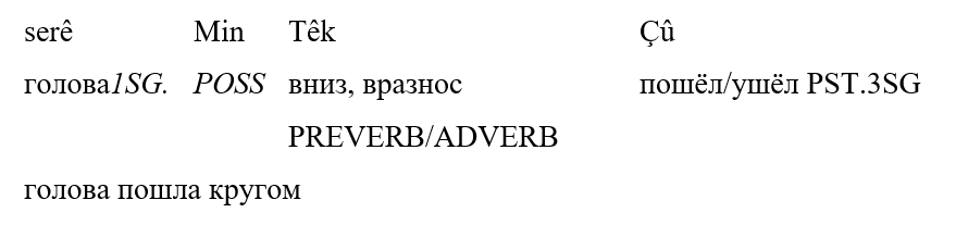 Голова пошла кругом
